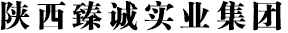 陜西省建筑行業(yè)典范企業(yè)