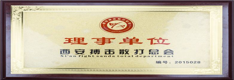 西安搏擊散打總會(huì)理事單位/突出貢獻(xiàn)獎(jiǎng)